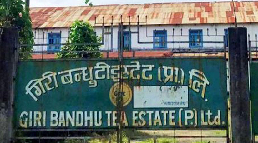 गिरीबन्धु टी स्टेट, जग्गा सट्टापट्टा विवाद र ओली सरकारको निर्णय बदर